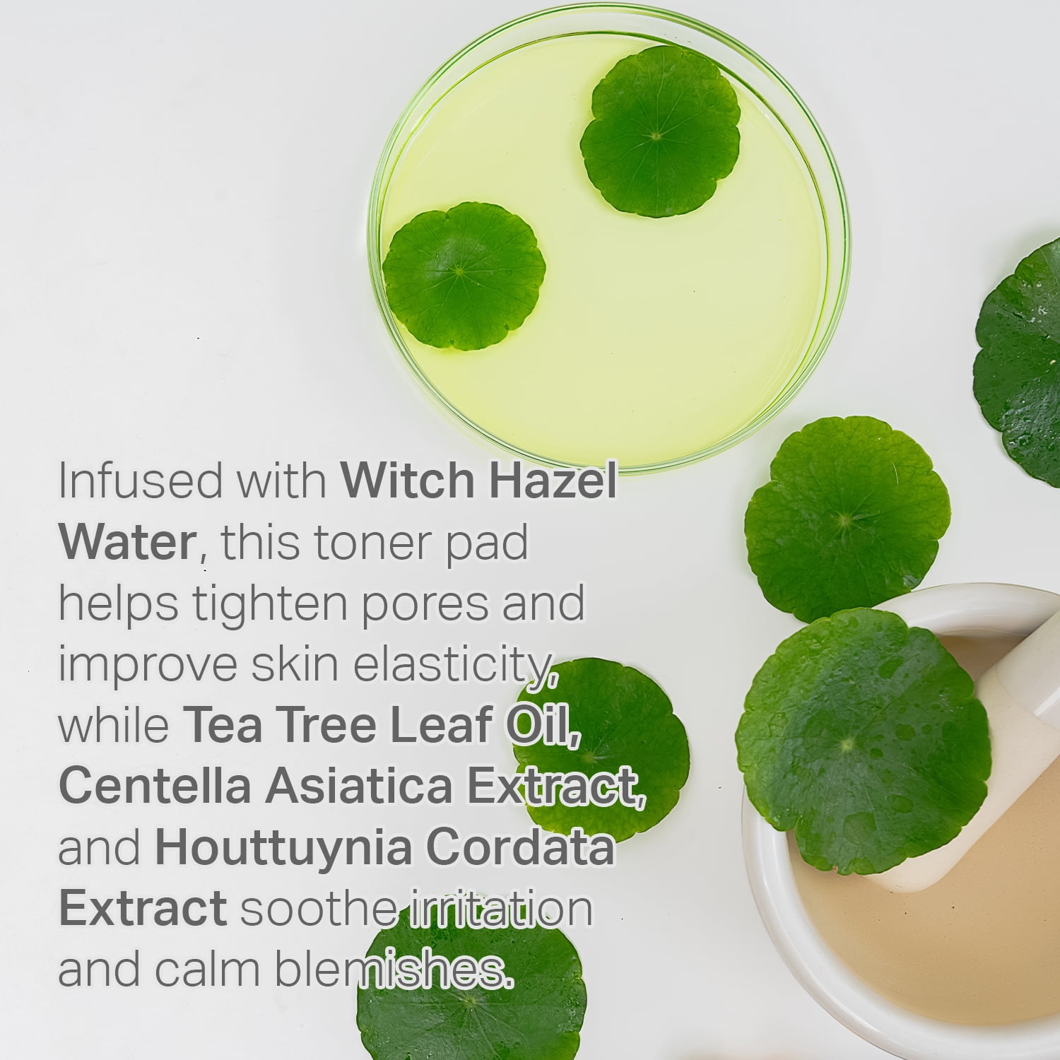Acne Clearing Toner Pads AHA BHA PHA LHA Exfoliating Pore Care 120 Pads | MADE IN KOREA