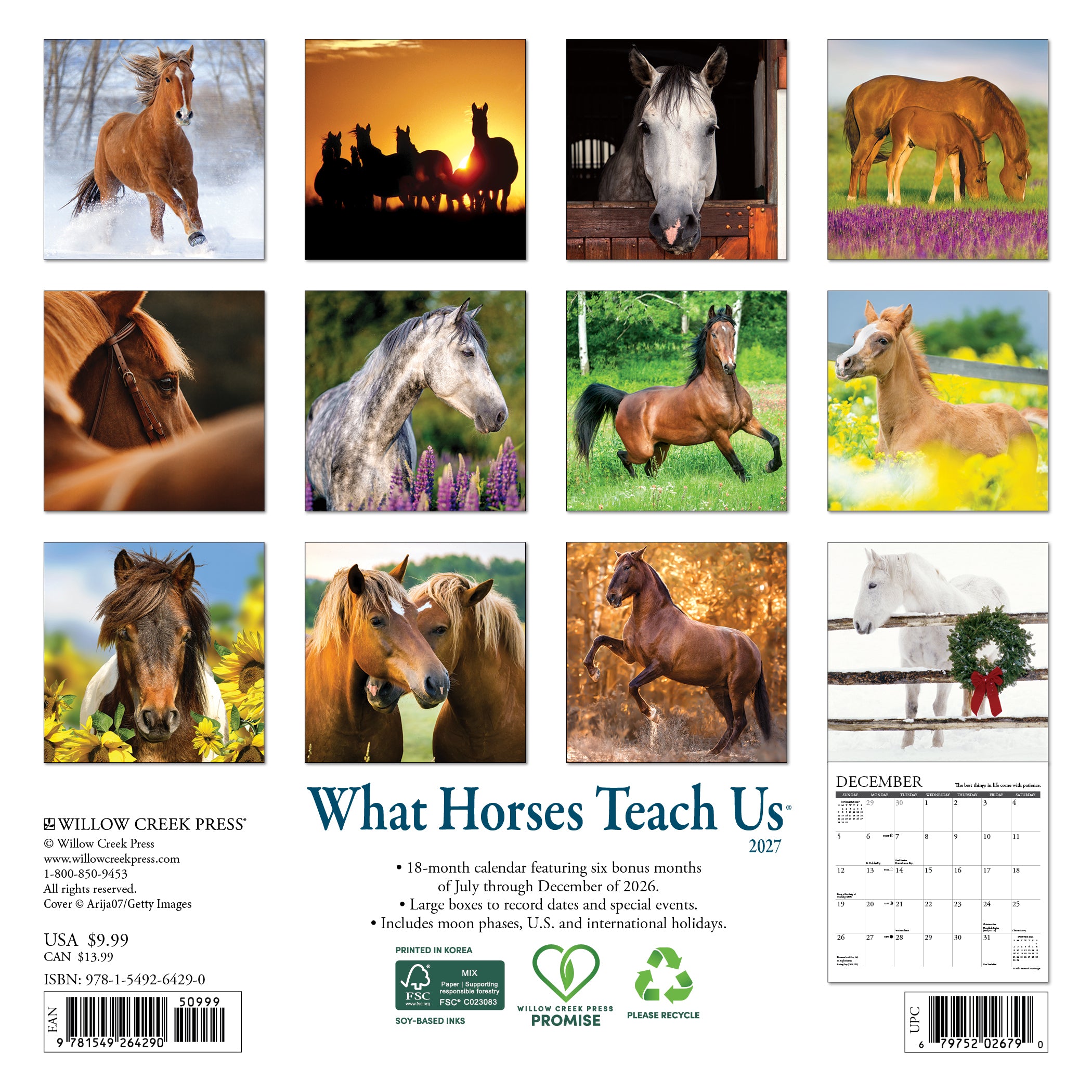 Willow Creek Press, What Horses Teach Us 2027 Mini Wall Calendar