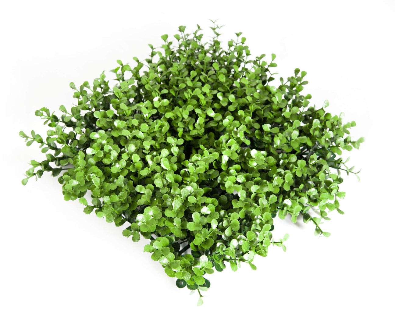 Megagrass Boxwood Eden Artificial Hedge 20"X20" 12 Pack