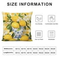 thumbnail image 5 of HENGT  Lemon Throw Pillow Covers Summer Fruit Farmhouse Decorative Pillows Case Soft Cushion Covers for Couch Sofa Patio Garden Home Decor, 5 of 5