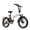 White, variant on Foldable Electric Bike for Adults, 983W Peak Motor 20mph 40-70mile Range, 48V Removable Battery, 20" Step Thru Fat Tire All-Terrain Ebike with 7-Speed