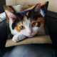 thumbnail image 4 of CaiYueKe Cats Linen Pillow Cover Decorative Cushion Case Bohemian Style Sofa Bed Throw Pillowcase Home Decor Accent Pillow Shams for Living Room Bedroom, 4 of 7
