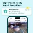 thumbnail image 2 of Birdfy Smart Feeder with Camera - Yellow, 2 of 8