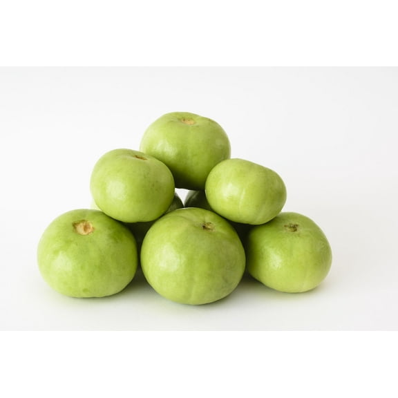 Serendipity Seeds 10 Tinda-Rare Indian Round Gourd Seeds