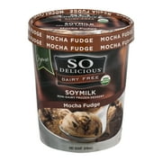 So Delicious Dairy Free Soymilk Frozen Dessert Mocha Fudge