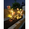 thumbnail image 5 of ZOELNIC Artificial Vine Battery Powered Champagne Rose Flower Christmas Garland Fairy Lights for Valentines Christmas Wedding Home Party Decor, 5M 50LEDs, 5 of 10