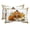 White, Flame Orange, Olive, Alabaster, variant on Thanksgiving Turkey Outdoor Pillows for Chaise Lounge Chair Beach Headrest Pillow Set of 2 Waterproof Lumbar Pillows with Insert&Adjustable Strap Fall Harvest Pumpkins Sunflowers Pool Pillow 12"x20"