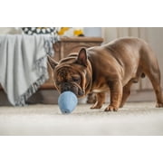Harry Barker Durable Rubber Treater Dog Toy, Blue, Large