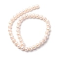 thumbnail image 5 of 1strand Natural Cultured Freshwater PearlBeads Strands Round Seashell color 10~11mm Hole: 0.8mm about 42pcs/strand 15.7 inch, 5 of 5