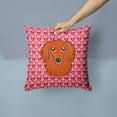 thumbnail image 2 of Carolines Treasures BB5284PW1414 Longhair Red Dachshund Fabric Decorative Pillow 14HX14W multicolor, 2 of 4