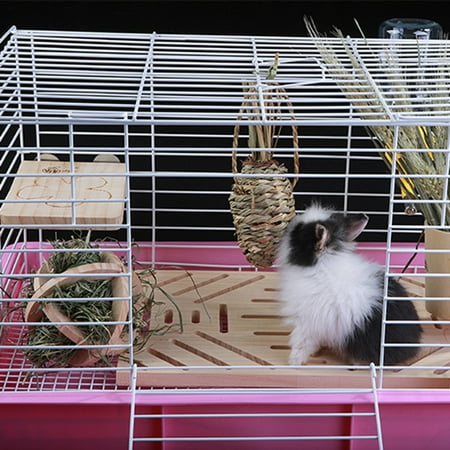 EHJRE 2Pcs Natural Grass Carrot Radish Pet Cage Hanging Exercise Climbing Toy Chew Toy Molar Toy For Bird Parrot Hamster Rabbit Chinchilla