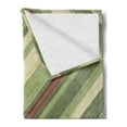 thumbnail image 2 of Vintage Soft Flannel Fleece Blanket, Red Green Diagonal Stripes on Old Aged Design Grungy Background Abstract Print, Cozy Plush for Indoor and Outdoor Use, 50" x 60", Cream Green Red, by Ambesonne, 2 of 5