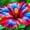 E, variant on Hibiscus, Low Maintenance - Easy Grow - Ideal for Beds Borders, Plant Pots & Planters