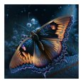 thumbnail image 1 of Cuadros Decorativos 5D bricolaje ronda completa taladro diamante pintura mariposa Kit decoración del hogar (NH3014) DQrwqpou Nuevos Originales, 1 of 9