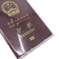 thumbnail image 5 of Clear Passport Holder with Pockets - Compatible with All Brands, 5 of 5
