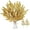 A Gold, variant on 40 Pieces Artificial Glitter Leaf Gold Glittered Spray Picks 13’’ Fake Floral Leaf Branches Xmas Decoration for Christmas Tree DIY Wreath Crafts Gift Home Garden Decoration(Gold,40 Pieces) A