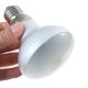 thumbnail image 1 of Lámpara para reptiles Uva+uvb, Bombilla para tortugas, lámpara de calor, lagartos anfibios, controlador de temperatura de 25W Sincero Electrónica, 1 of 5