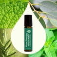 thumbnail image 3 of Plant Therapy Tension Relief Essential Oil Blend Pre-Diluted Roll-On 10 mL (1/3 oz) 100% Pure, Therapeutic Grade Essential Oils Diluted in Fractionated Coconut Oil, 3 of 8