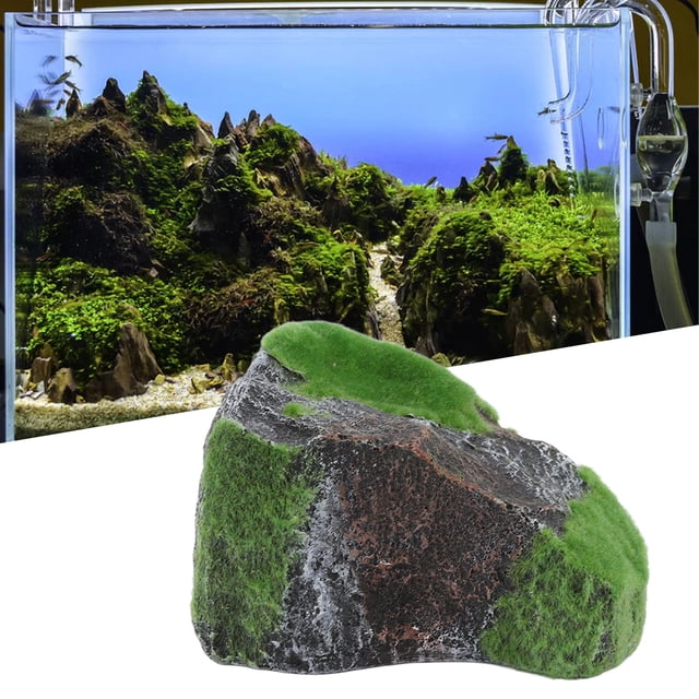 Reptile Hide, Agregue Security Rock Rock Tortouts Resina para mascota para mascota para ranas para ranas para arañas