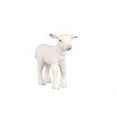 thumbnail image 3 of Collecta Collecta Standing Lamb Toy_Figure, 3 of 3