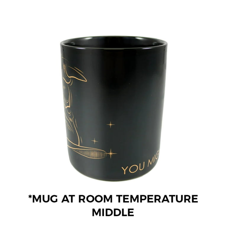 Harry Potter (Celestial House - Ravenvclaw) Morphing Mugs® Heat-Sensitive  Clue Mug MMUGC944 