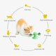 thumbnail image 3 of Molino de viento interactivo Cat Toy GBSYU con hierba gatera para gatos de interior, 3 of 6
