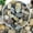 5/8 Inch, variant on 20lbs Natural River Rocks, 2"-3" Premium Pebbles for Garden and Landscape Design, Hand-Picked Smooth Stones for Fish Tank, Flower Pots, Indoor Water Fountains, Pathways, Backyard