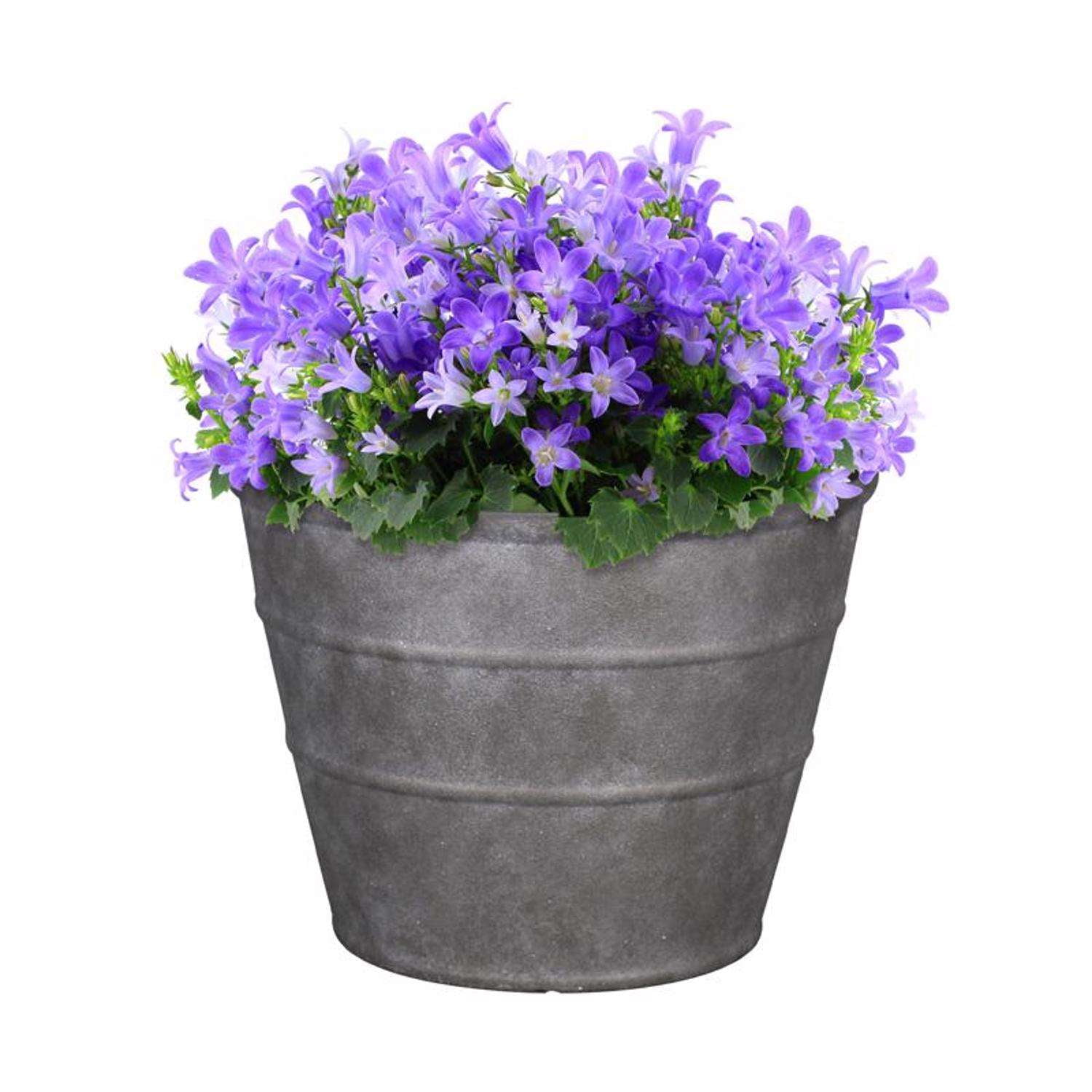 PLANTER HMLTN CHRCL 16"(Pack of 1)