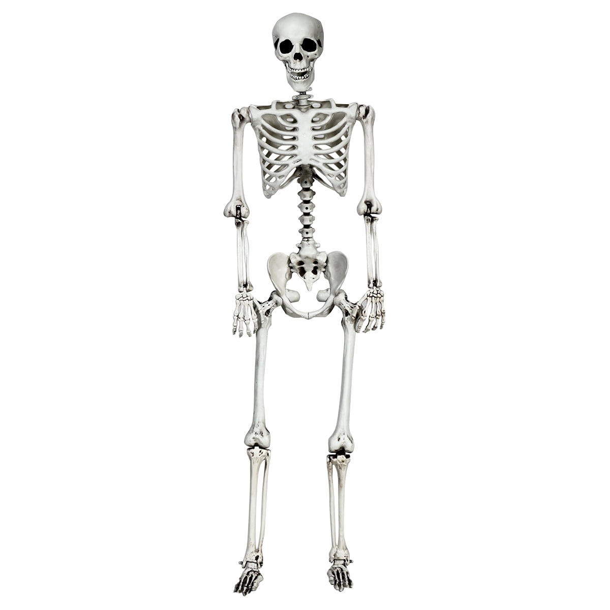 Costway 5.4ft Halloween Christmas Skeleton Life Size Realistic Full Body Hanging with Movable Joints 63 Inches