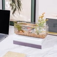 thumbnail image 4 of Wall-Mounted Transparent Hydroponic Planter Box, Creative Storage for Bathrooms and Offices, 4 of 6