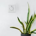 thumbnail image 2 of Digital Timer Switch with Easy Installation Perfect for Managing Appliances Like Water Dispensers and Electric Bicycles, 2 of 9