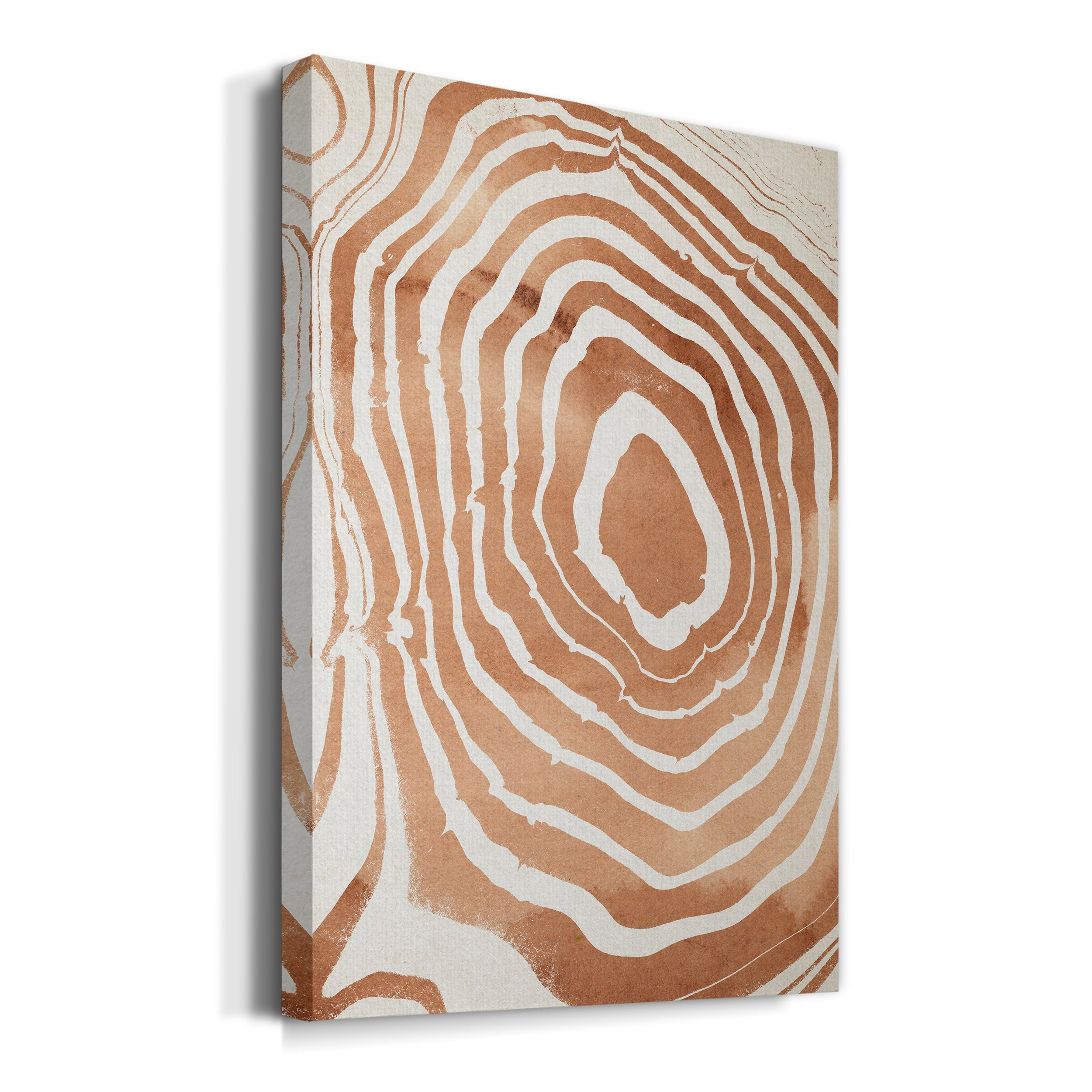 Wood Grain Suminagashi III Premium Gallery Wrapped Canvas - Ready to Hang