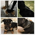 thumbnail image 3 of Solid Iron Dog Collar Metal Chain Adjustable Large Dog Pet Training Collar, 3 of 7