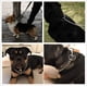 thumbnail image 4 of Collar de cadena para perro, fuerte collar de entrenamiento de perro P antideslizante, resistente a la masticación para perros medianos y grandes Ofspeizc QH-651, 4 of 7