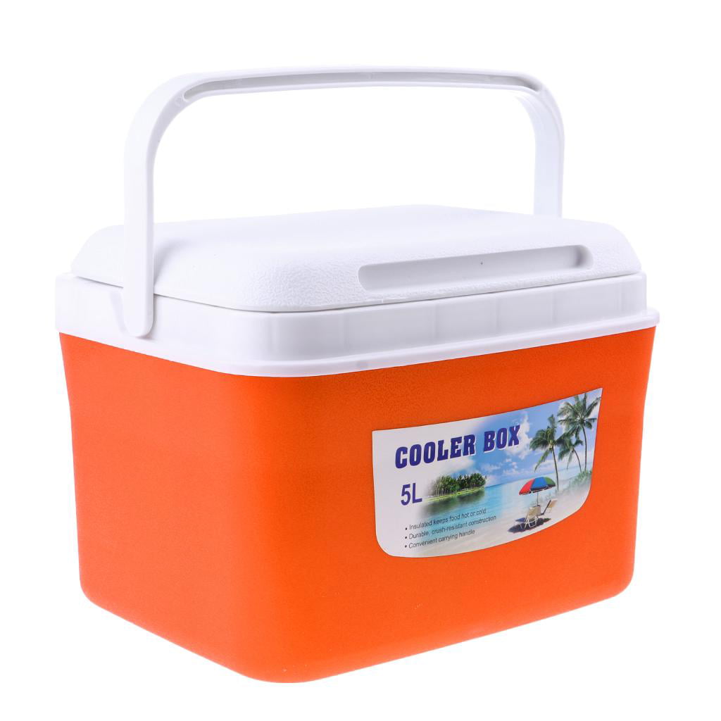 Fruit Food 5L Blue Outdoor Picnic BBQ Cooler Box Ice Box for Storing Drink 