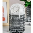 thumbnail image 3 of Self-Watering Flower Pots 4.5 Inch Clear Automatic Water Absorbing Plastic Flower Pots Round Hydroponic Plant Pots for All Plants, Succulents, Herbs, African Violets 2 Pieces, 3 of 7