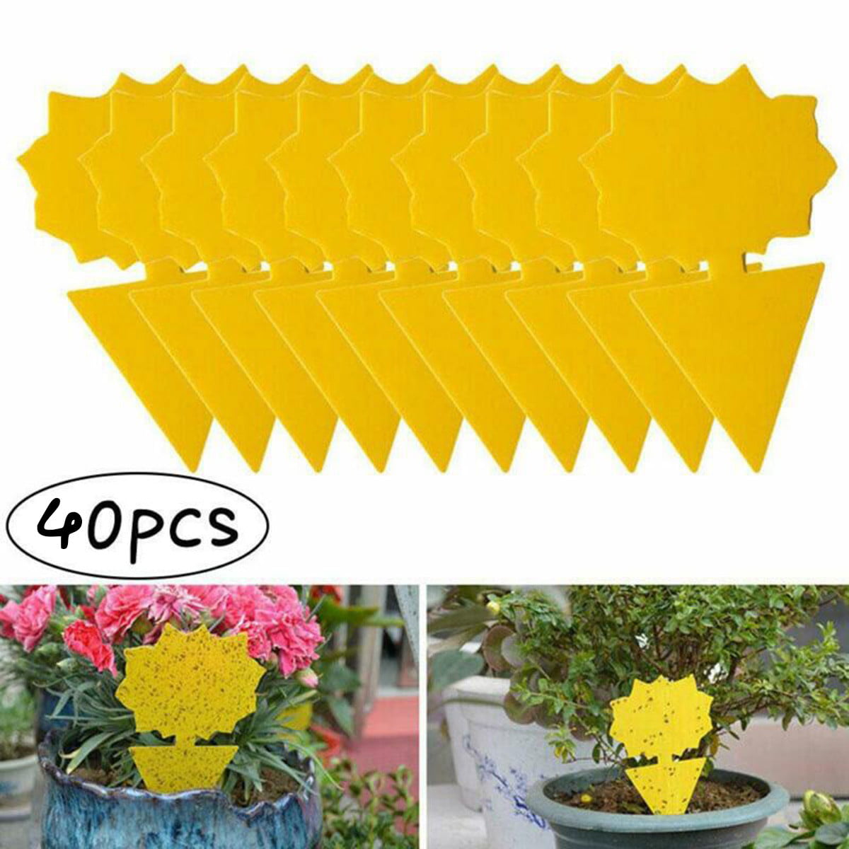 5Pcs Dual-Sided Sticky Fly Paper Yellow Traps Fruit Flies Insect Glue Catcher .r 