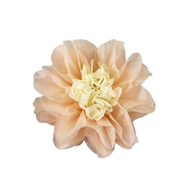 Cateissary Flores de papel Decoraciones florales para la pared Telón de fondo decorativo Flor de la boda para la decoración de la fiesta de aniversario Artesanía Melocotón 30cm Cateissary HA060500-16