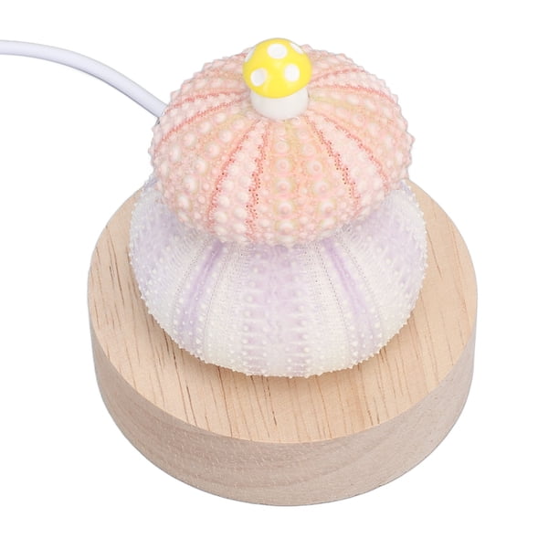 Lámpara De Cabecera LED, Base De Madera De Abedul, Luz De Cabecera LED Blanca Cálida, Forma Linda, Concha Natural, Enchufe USB Para El Hogar