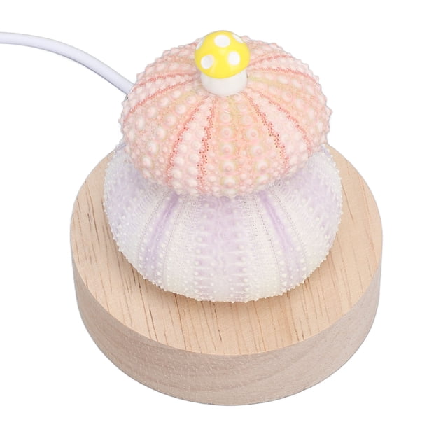 Lámpara De Cabecera LED, Base De Madera De Abedul, Luz De Cabecera LED Blanca Cálida, Forma Linda, Concha Natural, Enchufe USB Para El Hogar