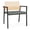 Natura-Asteroid, variant on Avon Reception Oversize Chair UPH Seat HPL Back / Black Steel / Natural / Black