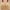 Beige B, variant on 2024 Summer Savings! Bras for Womens,loopsun Women's Bra Soild Wire Free Underwear One-Piece Bra Everyday Small Cup Underwear