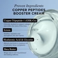 thumbnail image 2 of Asterwood GHK-Cu Copper Peptides Booster Cream - Copper Tripeptide-1 + Ectoin + Hyaluronic Acid - Firming Face Moisturizer for Barrier Repair - 1.7 Fl Oz, 2 of 5