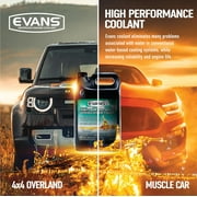 Evans Cooling Systems EC53001 High Performance Waterless Engine Coolant, 1 Gallon