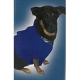 thumbnail image 2 of Cozy Dog Blanket in Blue, 2 of 3