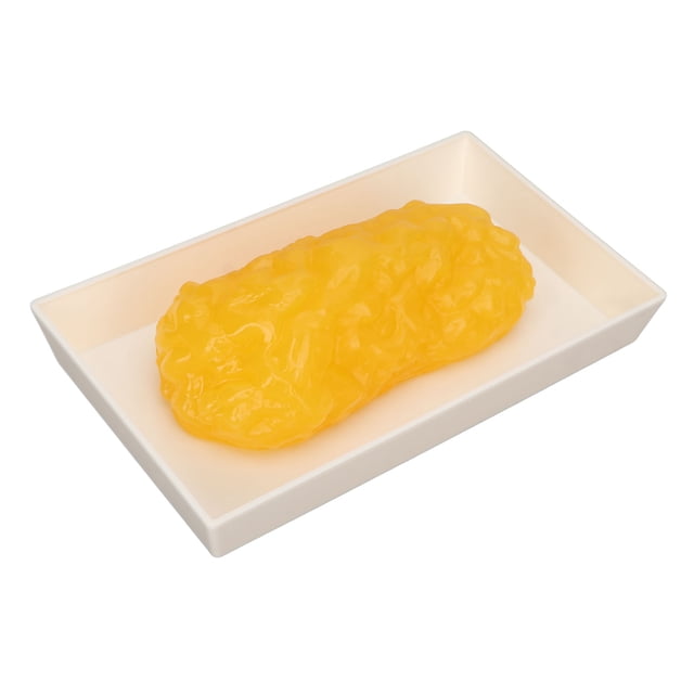 Human Fatty Tissue Model, Body Fat Replica Demonstration For Clinics For Nutritionist