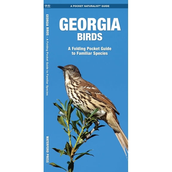 Pocket Naturalist Guides: Georgia Birds: An Introduction to Familiar Species (Paperback)