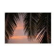thumbnail image 2 of Gango Home Decor Palms at Sunset by Karyn Millet (Printed on Paper); One 36x24in Fine Art Paper Giclee Print, 2 of 4