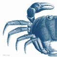 thumbnail image 3 of Marrott, Stephanie 20x20 Black Modern Framed Museum Art Print Titled - Blue Crab, 3 of 5