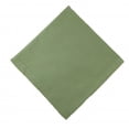 thumbnail image 1 of MJs M. Trading AG-20318S-4 Serviettes&44; Vert Citron - Lot de 4, 1 of 1
